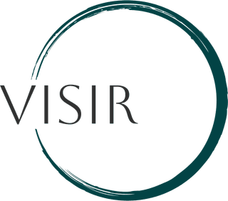 Logo Visir